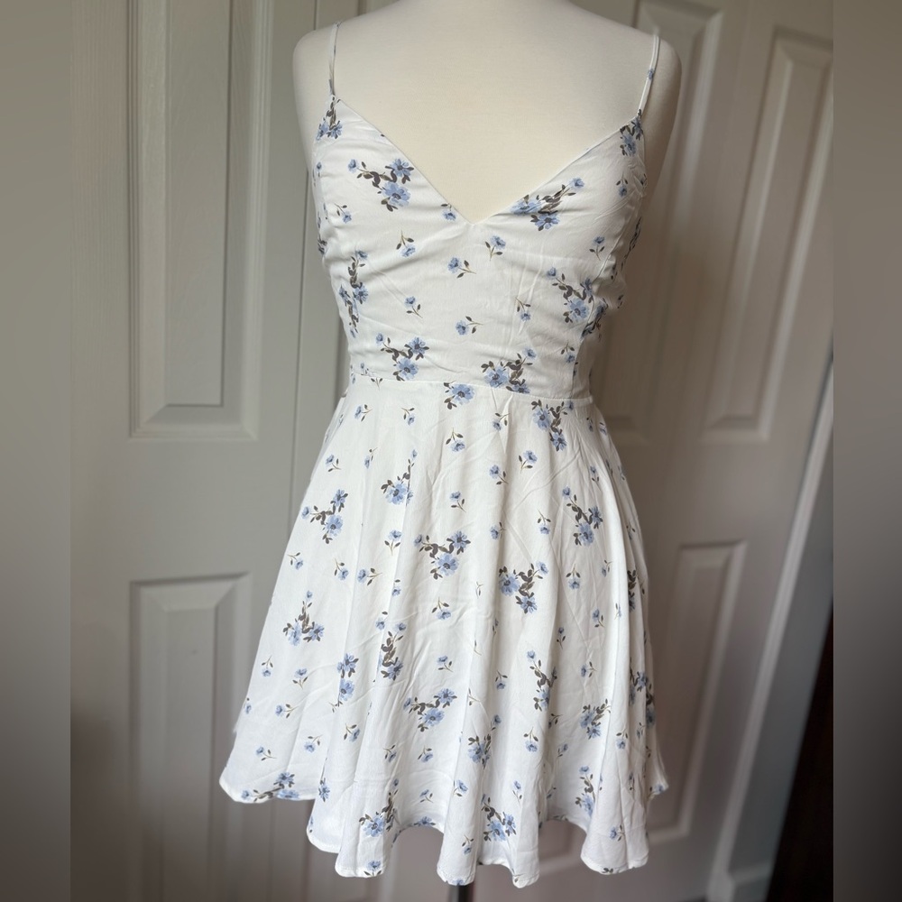 Windsor White and Blue Floral Mini Dress